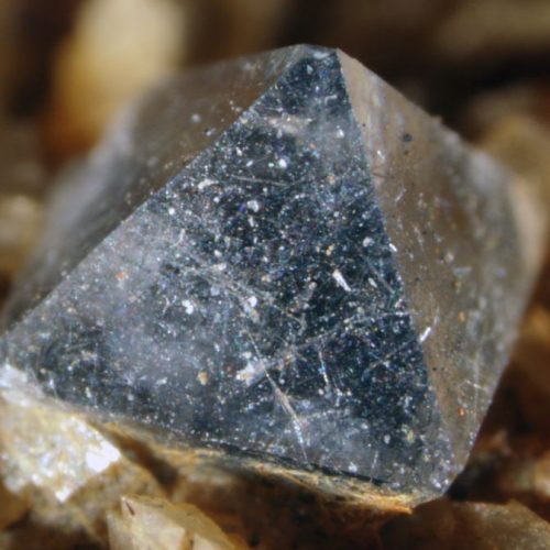 Výstava minerálov, skamenelín a drahých kameňov
